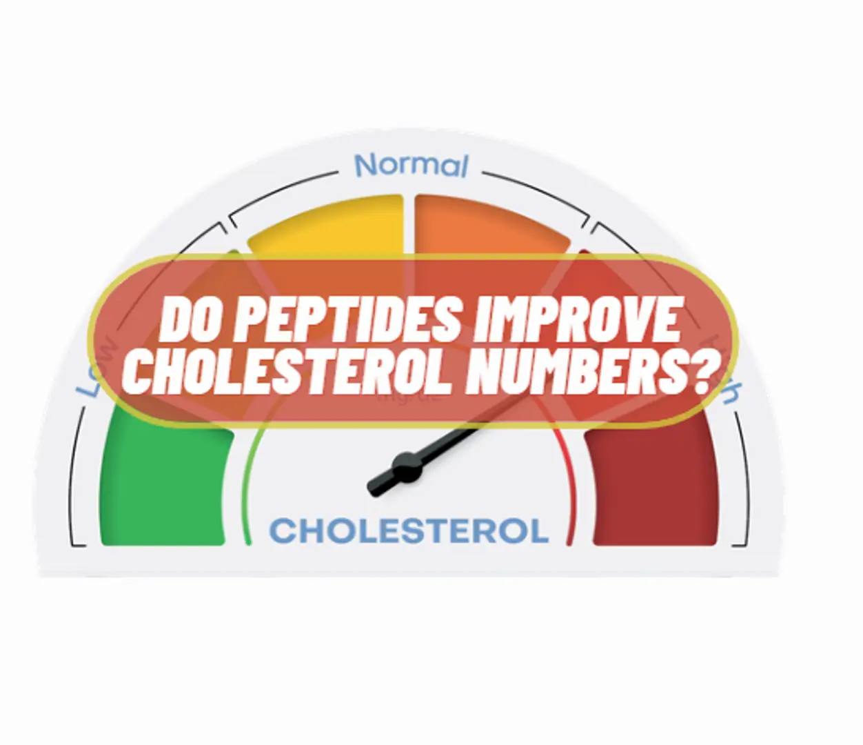 69310a19e32061c21f6535df